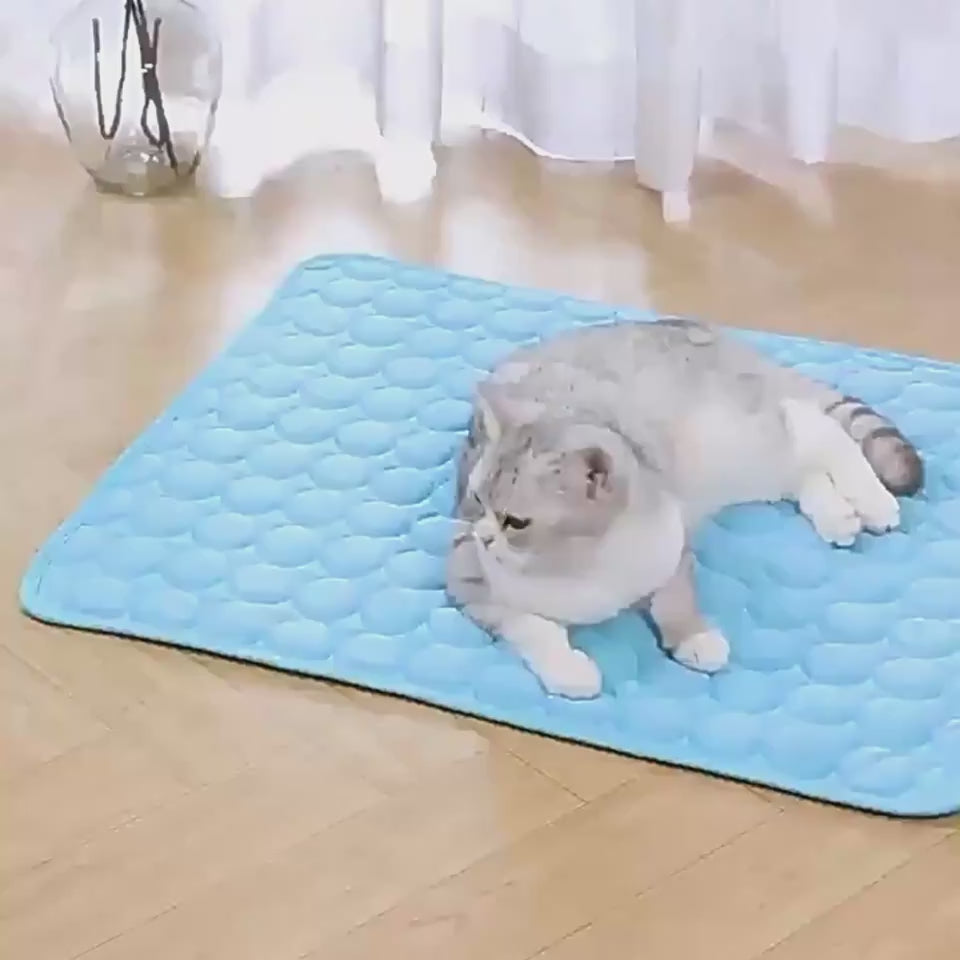 Load video: 1